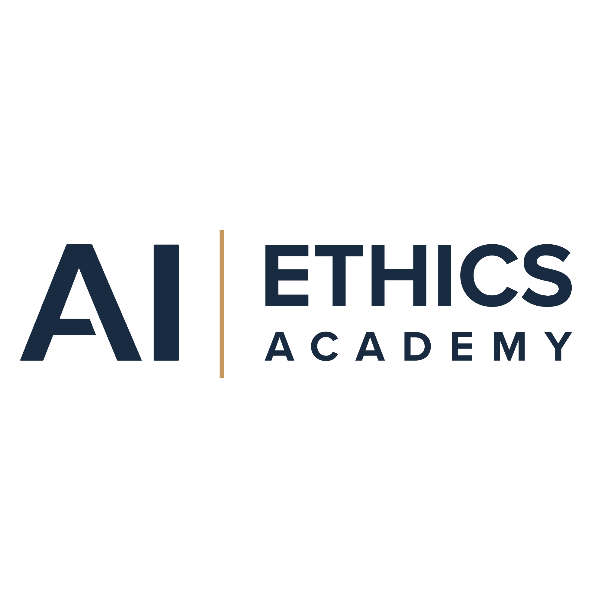 AI Ethics Academy